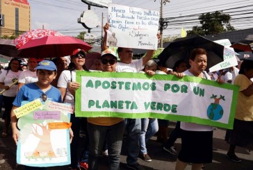 Realizan caminata diocesana apostando por un planeta verde en San Pedro Sula
