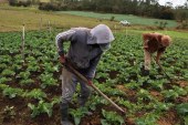 Honduras será influenciada este año por un fenómeno de El Niño débil