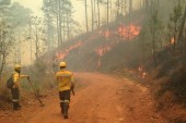 ICF pide a la población contribuir a frenar incendios forestales
