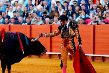 VIRAL: Un torero limpió las lágrimas de un toro antes de matarlo (+video)