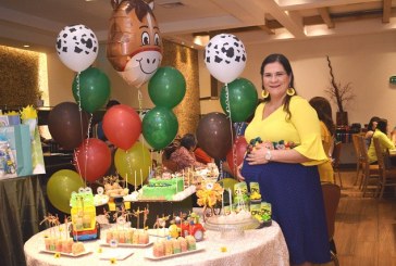 Una divertida granja en el baby shower de Jullyssa