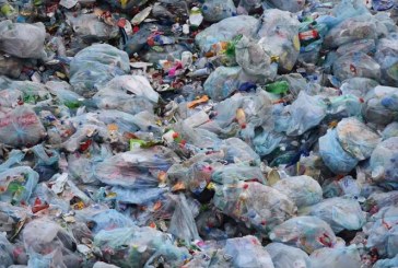 Panamá, primer país centroamericano en prohibir las bolsas de plástico de un solo uso