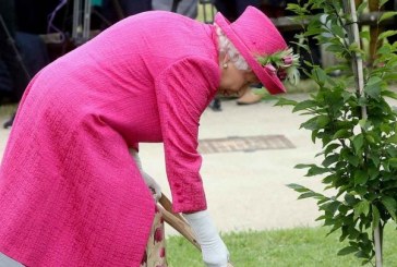 A sus 93 años, la reina Isabel II sorprende al empuñar una pala para plantar sola un árbol
