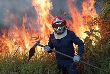 Amazonas en llamas: las razones que originaron el incendio