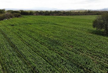 Finca Santa Marta es ejemplo de cooperativa productora a replicar en todo el país