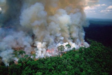 ONU urge a Brasil proteger la Amazonía donde proliferan incendios forestales