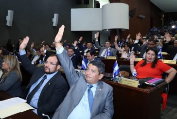 Congreso Nacional continuará con discusión de Ley de Palma Africana