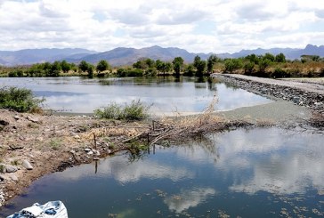 Con construcción de diques retienen agua para enfrentar sequía en zona sur