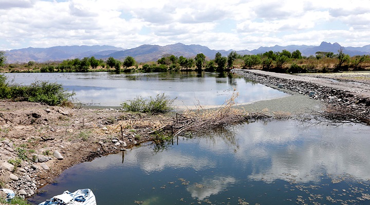 Con construcción de diques retienen agua para enfrentar sequía en zona sur