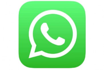 Detalles como puede hacer videollamadas en WhatsApp para 50 personas
