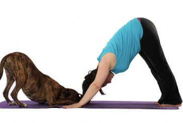 Yoga para mascotas, una experiencia grata y de relajación