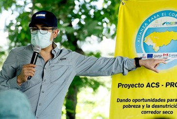Presidente Hernández llama a ser solidarios con todos los sectores en medio de pandemia