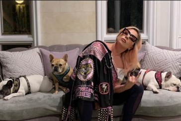 Le disparan al cuidador de los perros de Lady Gaga mientras los paseaba y le roban las mascotas