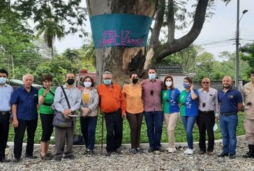 Celebran cumpleaños a longevo árbol de Guanacaste en la Colonia Juan Lindo de San Pedro Sula