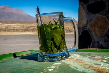 Una líder indígena que fabrica productos de hoja de coca en Colombia denuncia que Coca-Cola le quiere prohibir el nombre de su marca