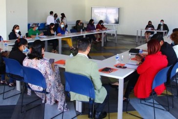 Dinaf busca promover ante el Consejo Nacional de Niñez estrategia para erradicar progresivamente el trabajo infantil
