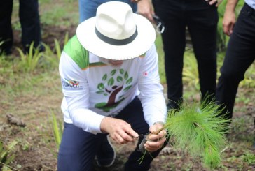Alcaldía de San Pedro Sula lanzan Campaña de Reforestación en la Zona de Reserva de El Merendón