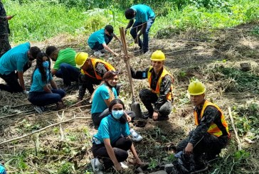 Realizan jornada de reforestación en el sector Río Blanco de San Pedro Sula