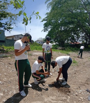 Realizan jornada de reforestación en el sector Rio Blanco de San Pedro Sula