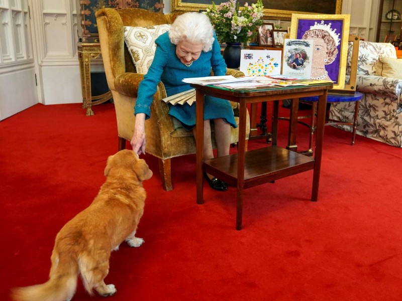 El Príncipe Andrés adopta los dos perros inseparables de la reina tras su deceso