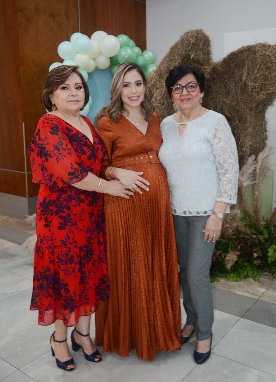 Baby shower estilo Safari para Cindy Carolina García 