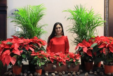 Bazar navideño inicia el viernes 09 de  diciembre en San Pedro Sula