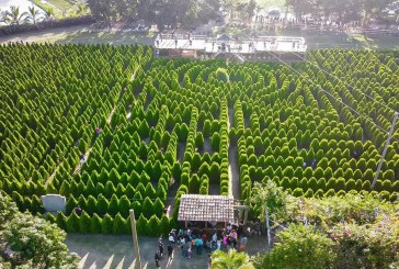 Cierran temporalmente Laberinto de Cipreses debido a daños muy severos ocasionados por visitantes