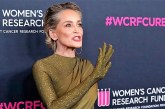 Sharon Stone asegura que perdió “la mitad” de su fortuna tras la quiebra del Silicon Valley Bank