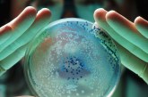 La OMS advierte de una “pandemia silenciosa” causada por bacterias resistentes a los antibióticos
