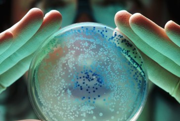 La OMS advierte de una “pandemia silenciosa” causada por bacterias resistentes a los antibióticos