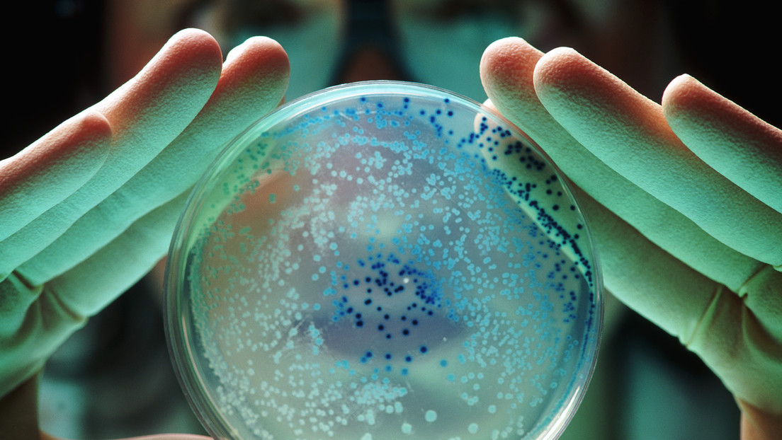 La OMS advierte de una “pandemia silenciosa” causada por bacterias resistentes a los antibióticos