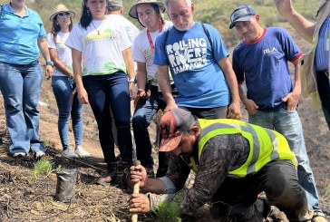 Supermercados Colonial se une al Sembrathon 2023 para reforestar un sector de Cofradía