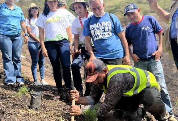 Supermercados Colonial se une al Sembrathon 2023 para reforestar un sector de Cofradía