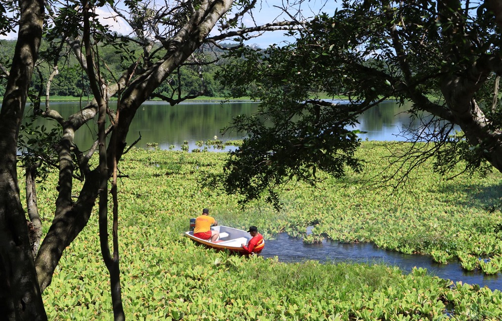 Laguna de Jucutuma es declarada Sitio de Importancia para la Vida Silvestre