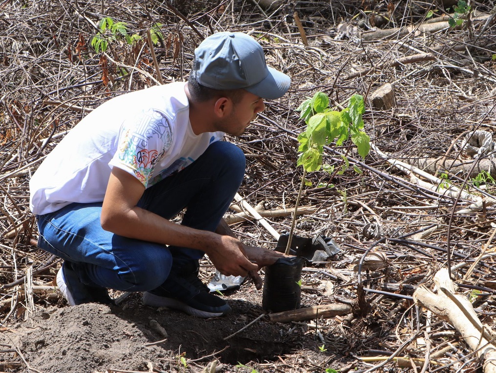 Ejecutan jornada de reforestación en Zona de Reserva de El Merendón