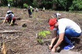Ejecutan jornada de reforestación en Zona de Reserva de El Merendón