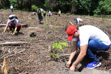 Ejecutan jornada de reforestación en Zona de Reserva de El Merendón