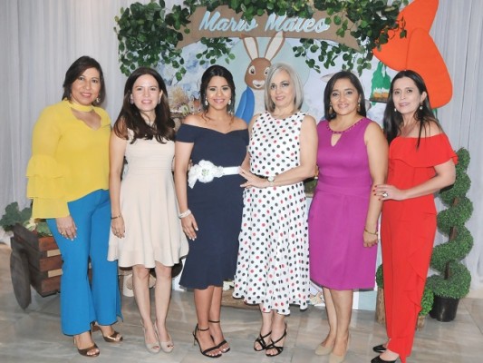 Norma Mejía, Sofía Flores, Lucy Ordóñez de Flores, Loretta Gambarelli, Belkis Lagos e Indira Bueso