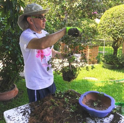 El Dr. Paz Hazlan con sus bonsai