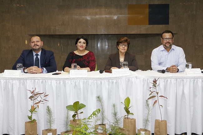 Lanzan programa para Manejo Sostenible de Bosques en Honduras