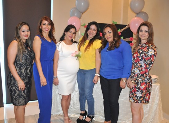 Yadira Mayen, Nohelia Mejía, Lorena de Mejía, Mirta Mejía, Alejandra Mejía y Julissa Lara