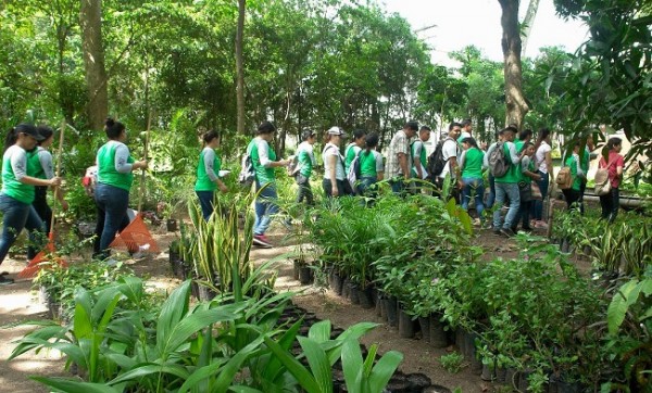 vivero santa ana 4