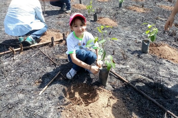 REFORESTACIÓN EL TIGRE 3