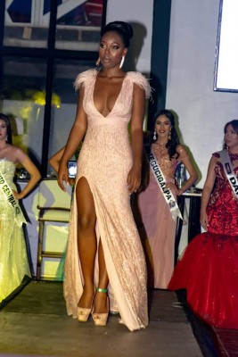 Madelin Guití, Miss Trujillo 2