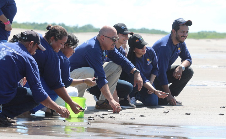 Liberan 900 crías de tortugas golfinas al clausurar proyecto de conservación en Golfo de Fonseca