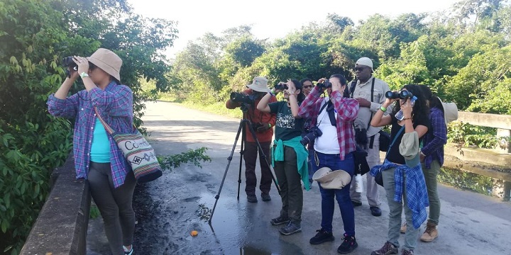 Amantes del avisturismo participan en Conteo Navideño de Aves en la Bahía de Tela