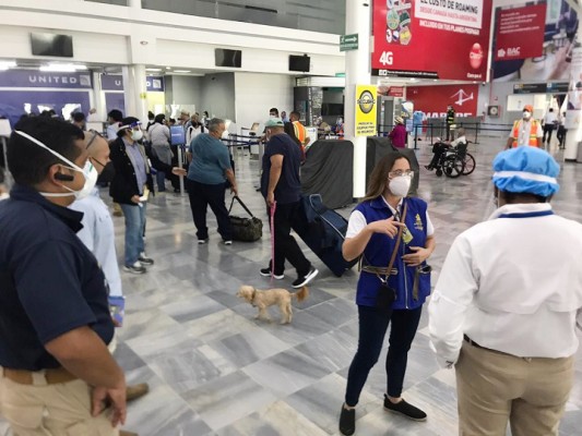Equipos de la Secretaría de Turismo brindan apoyo a viajeros en aeropuertos de San Pedro Sula y Tegucigalpa 
