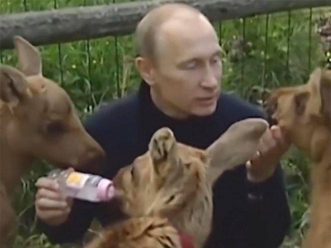 Vladimir Putin es captado alimentando a alces bebés