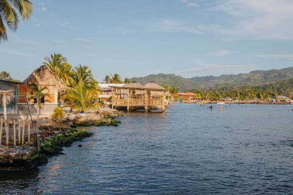 19 apuestos jóvenes compiten por el título Míster Humanidad Honduras 2020 