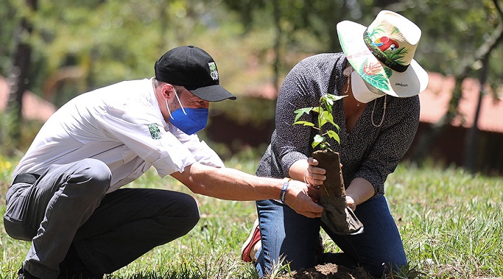 Presidente Hernández destaca la importancia de la reforestación el país